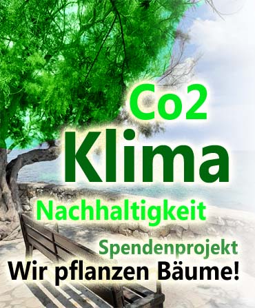 Baeume planzen fue den Umweltschutz. Projekt Baum Spende